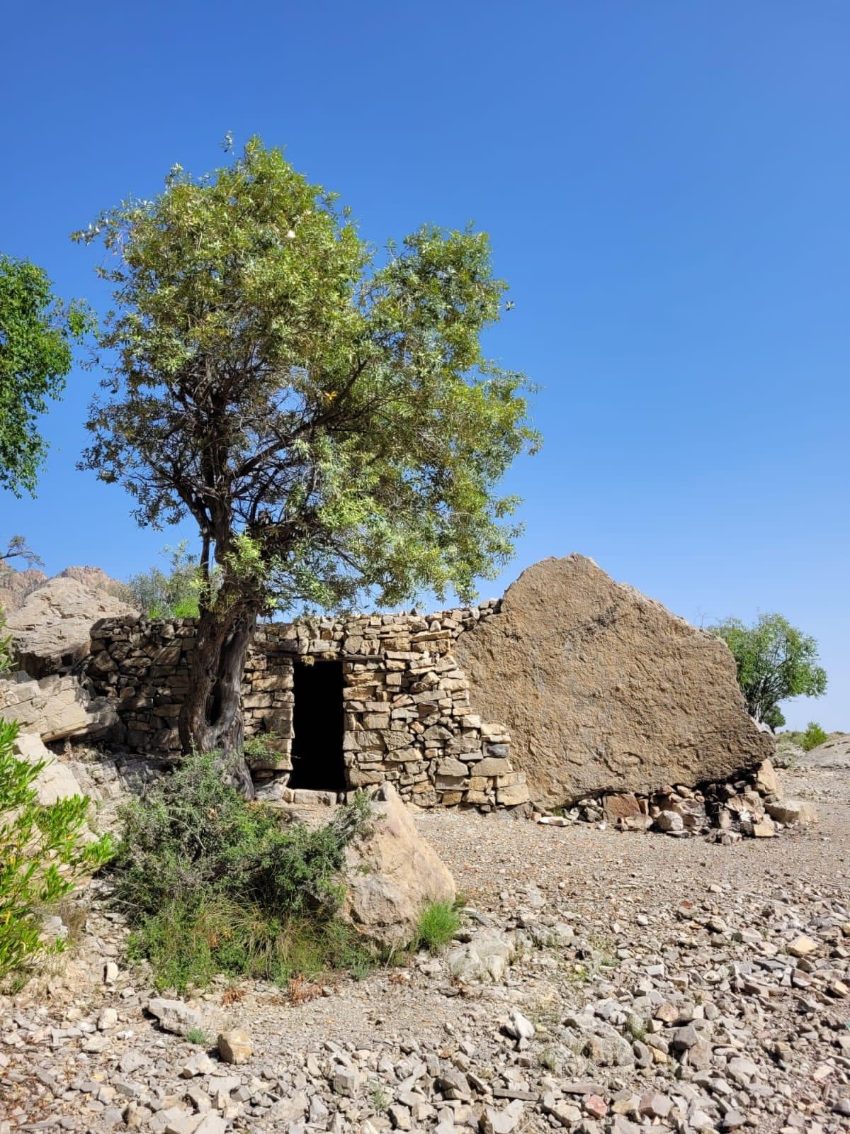 WhatsApp Image 2025-12-22 at 9.28.13 AM