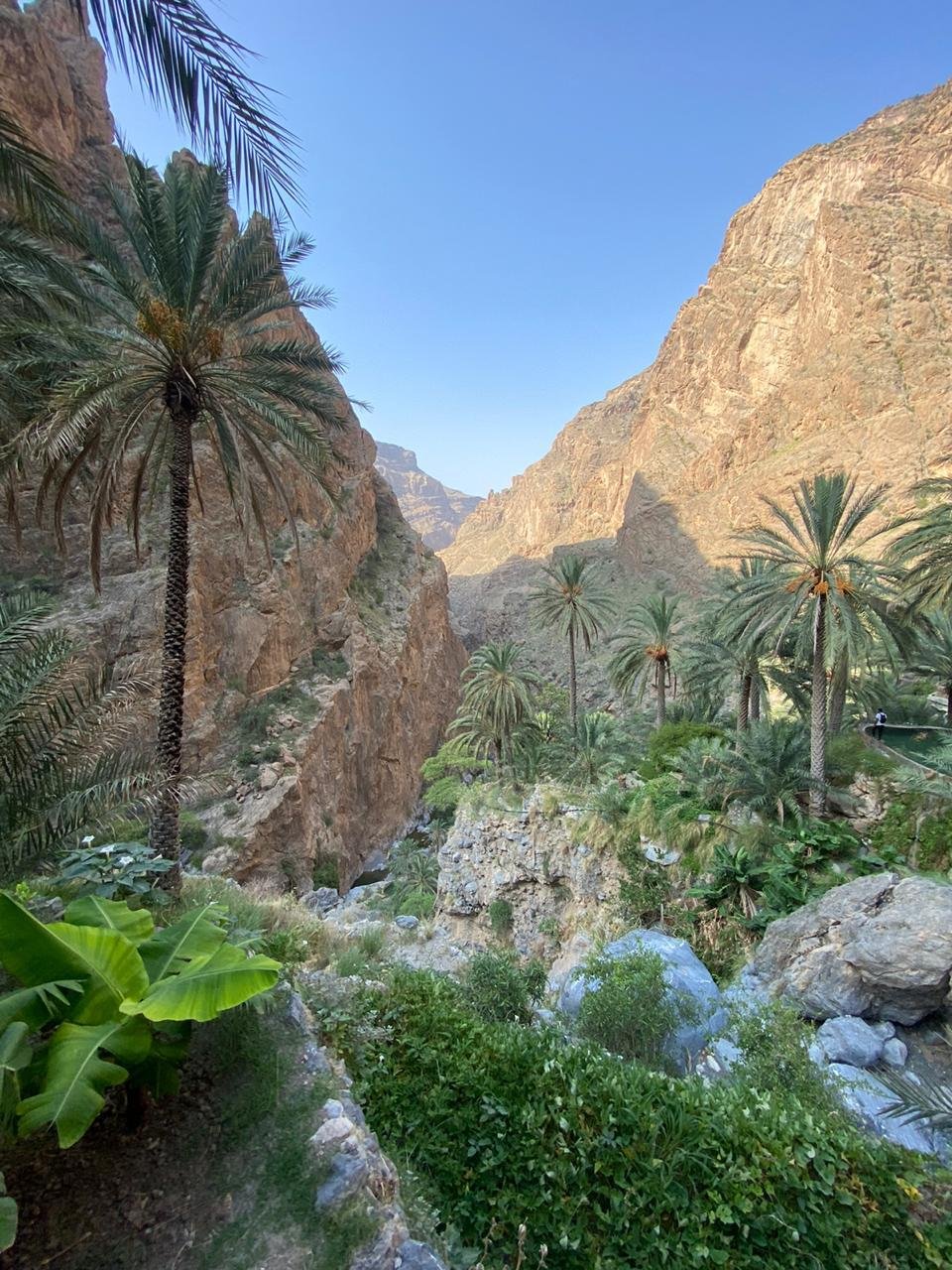 WhatsApp Image 2025-12-22 at 9.28.18 AM