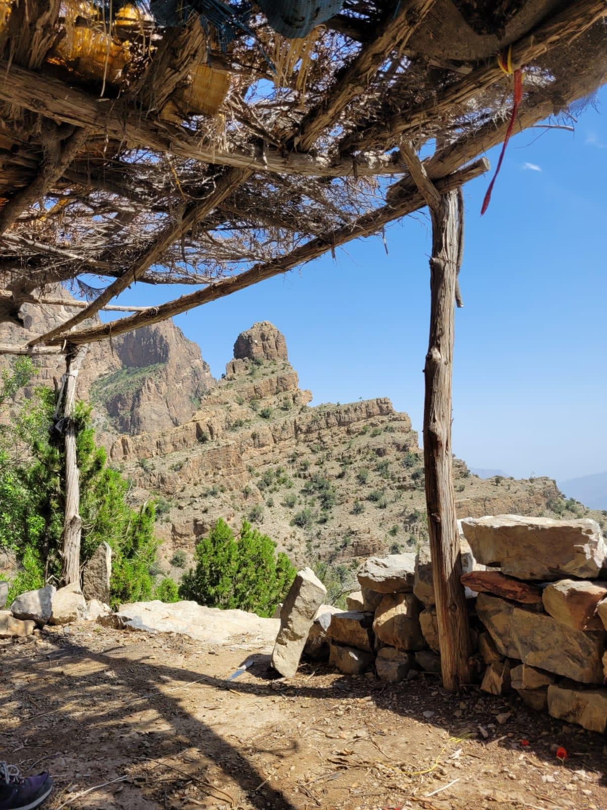 WhatsApp Image 2025-12-22 at 9.28.19 AM (2)